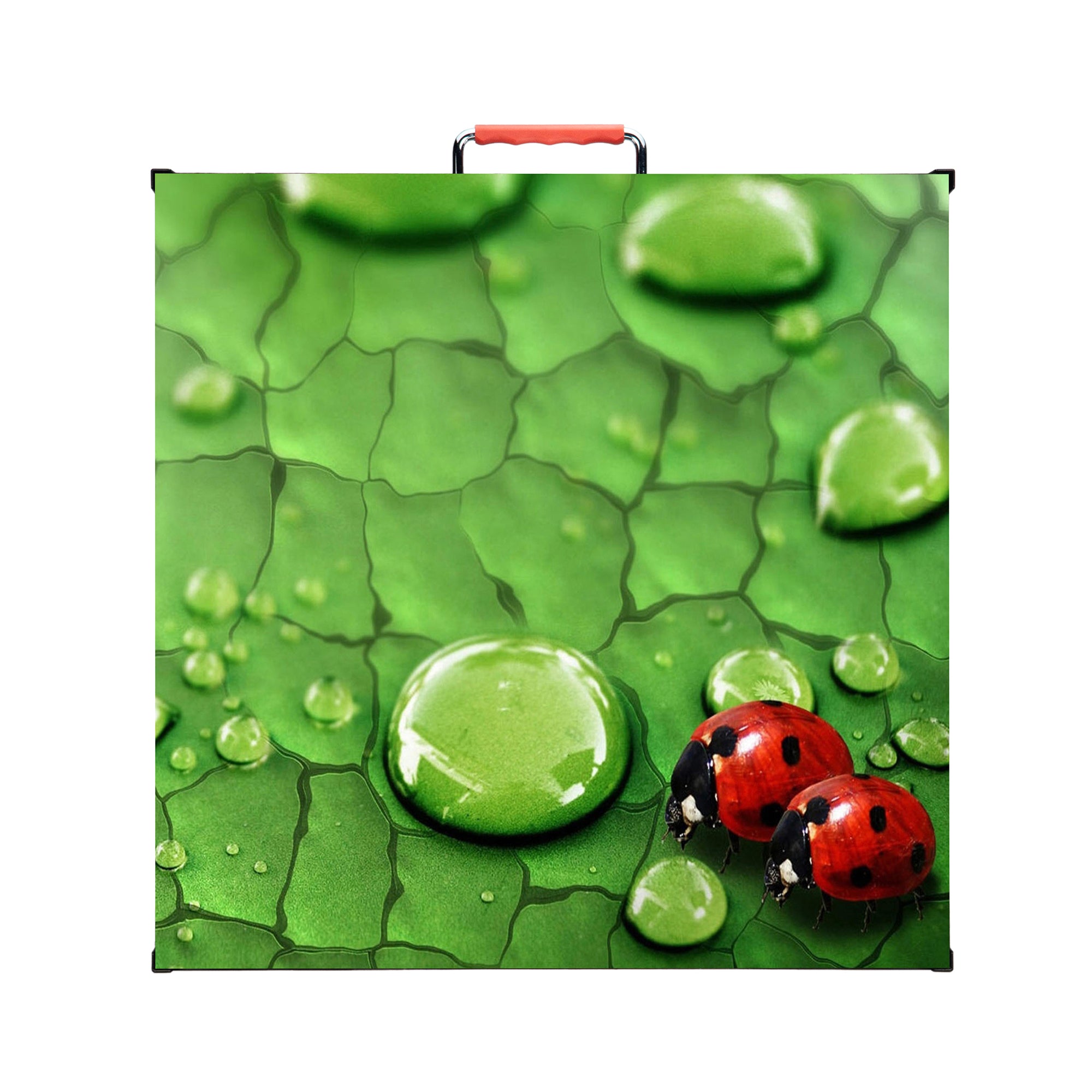 Preferential Price on Sell Flexible High-quality P3.91 Outdoor/Indoor curve LED Display Advertising