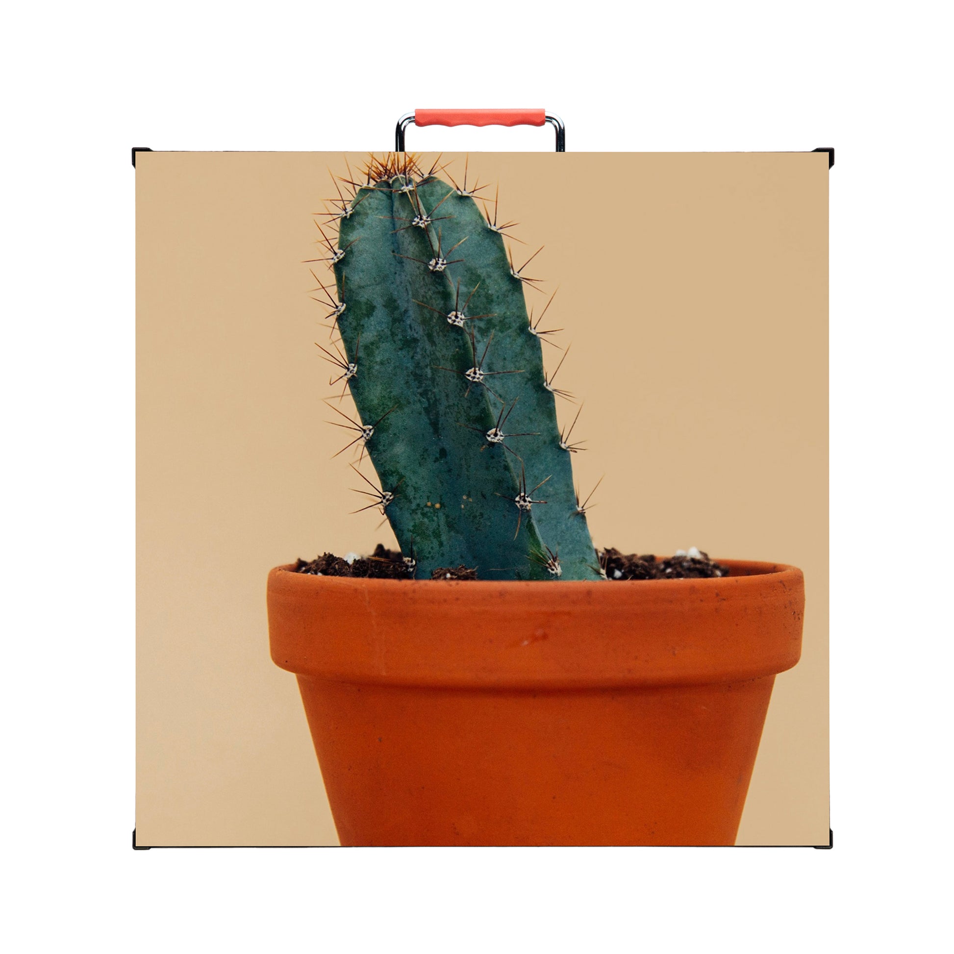 Preferential Price on Sell Flexible High-quality P3.91 Outdoor/Indoor curve LED Display Advertising